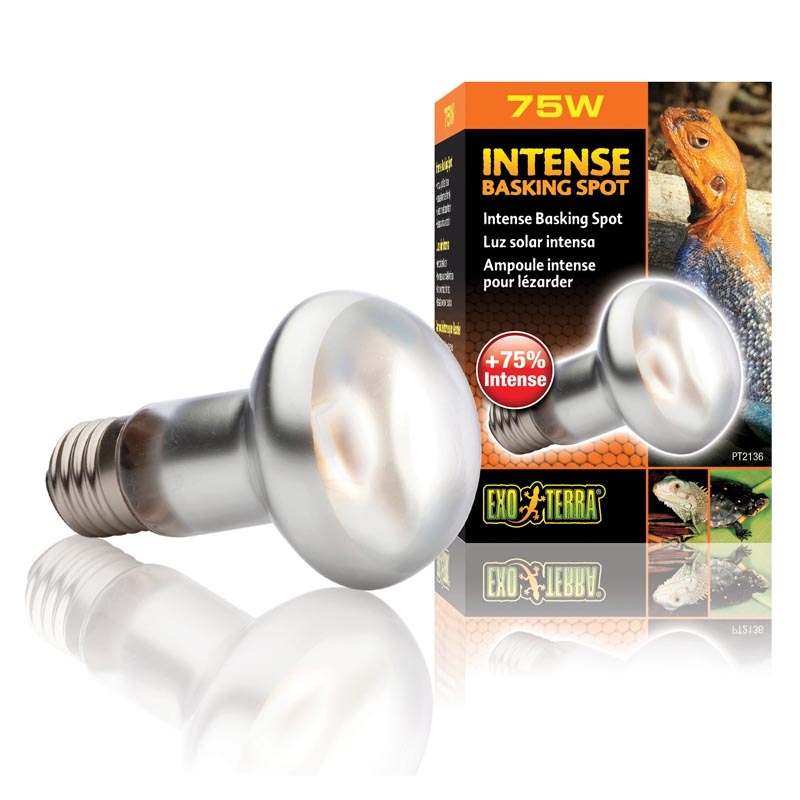 ExoTerra Intense Basking Spot 75W - lampada per terrari a luce concentrata