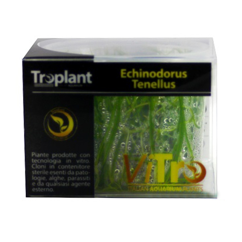 Troplant Linea Vitro Echinodorus Tenellus Ø 60