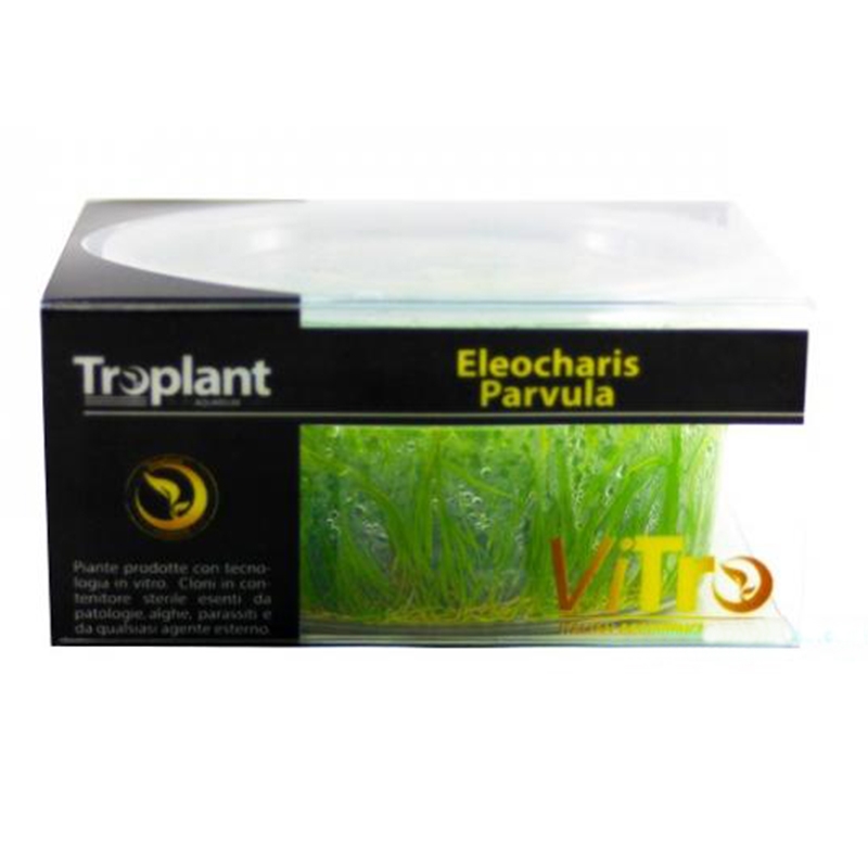 Troplant Linea Vitro Eleocharis Parvula Ø 90