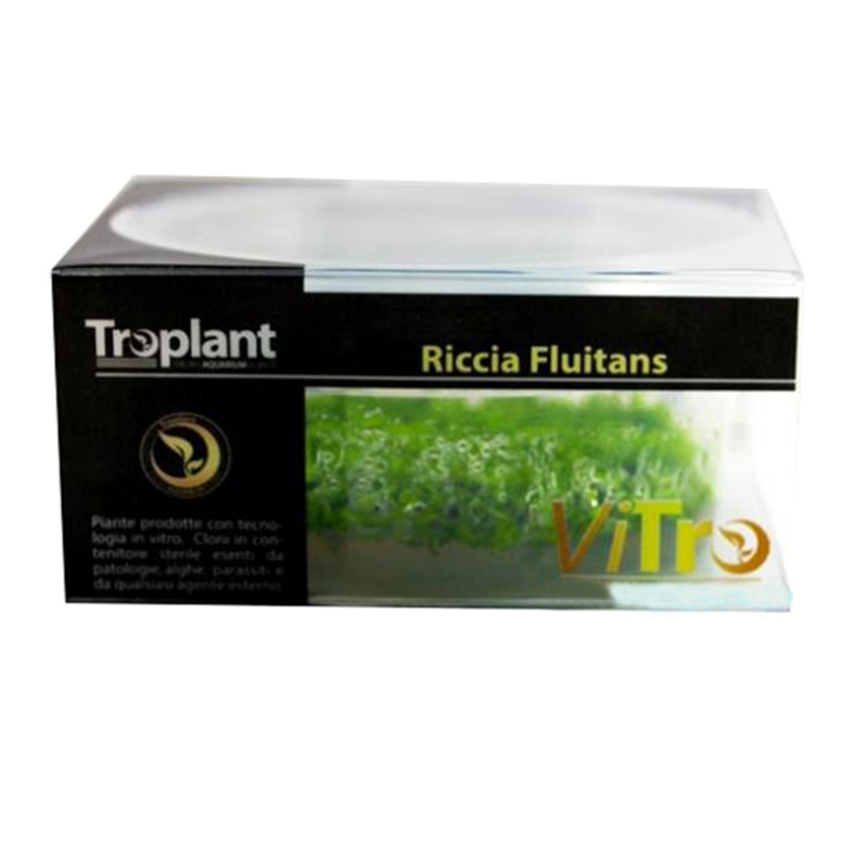 Troplant Linea Vitro Riccia Fluitans Ø 90