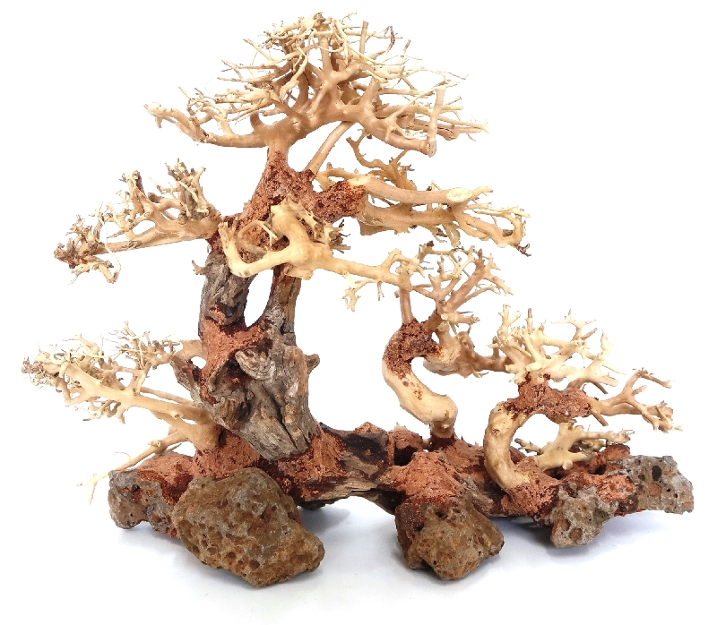 DecorLine Triple Bonsai Wood misura Medium cm30x23x15h