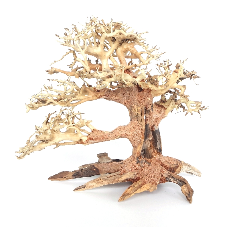 DecorLine Slim Bonsai Wood misura Medium cm30x23x13h