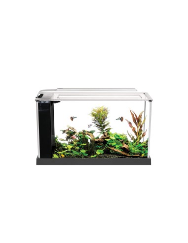 Askoll Fluval Spec 19L Bianco cm52x19x29,5h