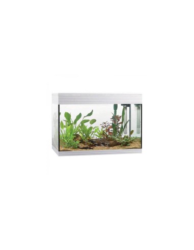 Askoll Pure kit L LED - kit acquario cm 56x36x43,5h 68 litri con illuminazione LED e sistema di filtraggio