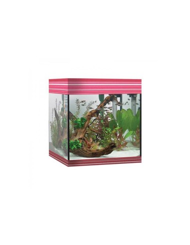 Askoll Pure kit M LED Rosso - kit acquario cm 36x36x43,5h 44litri con illuminazione LED e sistema di filtraggio