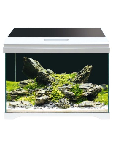 Amtra Modern Tank 50 LED - Acquario Equipaggiato 40L cm50,5x25,5x40h