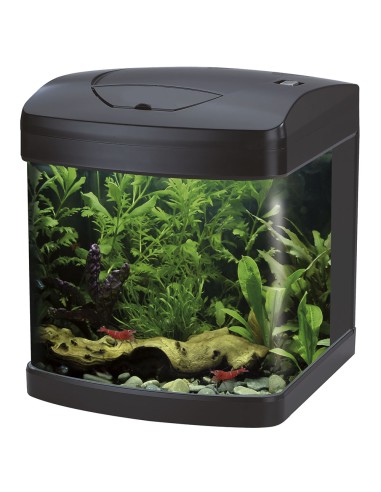 Amtra Xcube LED 26 Litri - mini acquario accessoriato