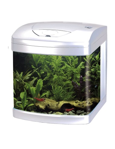 Amtra Xcube LED 26 Litri - mini acquario accessoriato