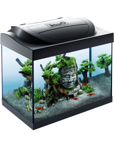 Tetra Starter Line LED 30L cm41x30x25h - acquario completo per un rapido avvio