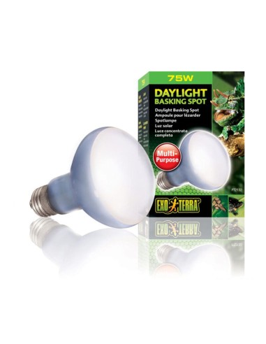 ExoTerra Daylight Basking Spot - lampada al Neodymium ad ampio spettro