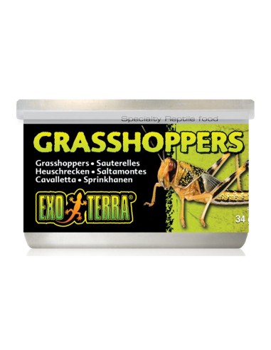 Exoterra Grasshoppers 34gr - Cavallette in Scatola