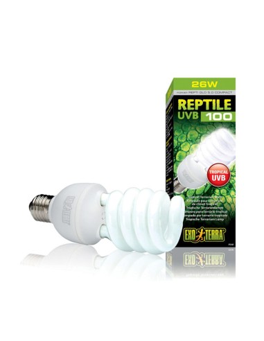 ExoTerra PT-2187 Repti Glo Compact 5.0 25 W UVB100 Attacco E27 - Lampada per terrari tropicali