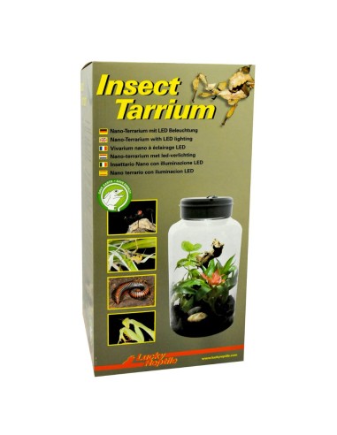 Lucky Reptile Insect-Tarrium 5L cm15x15x25h - mini terrario in plastica per insetti e ragni