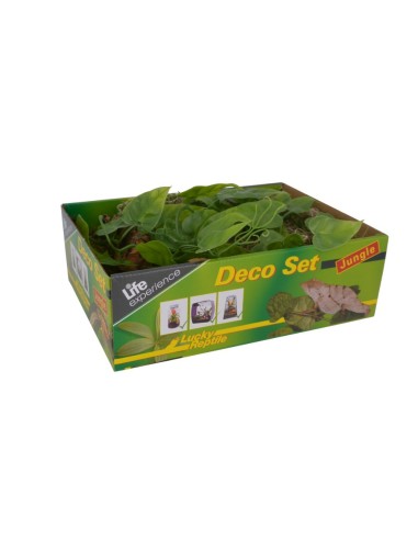 Lucky Reptile Life Experience Deco Set Jungle - set di decorazioni per terrari tropicali