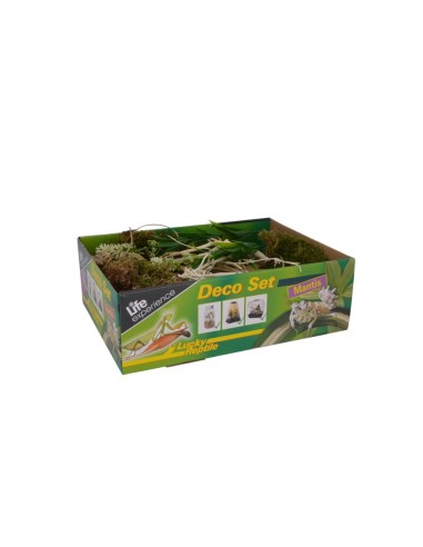 Lucky Reptile Life Experience Deco Set Mantis - set di decorazioni per insetti tropicali