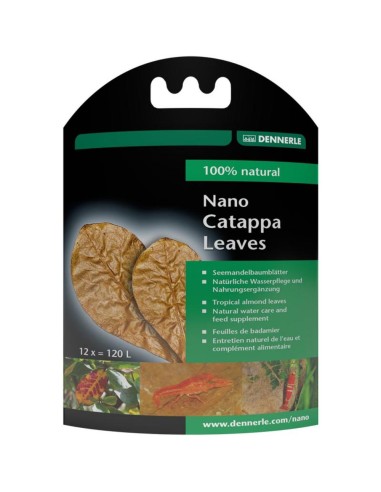 Dennerle 5916 Nano Catappa Leaves – Foglie di mandorlo indiano