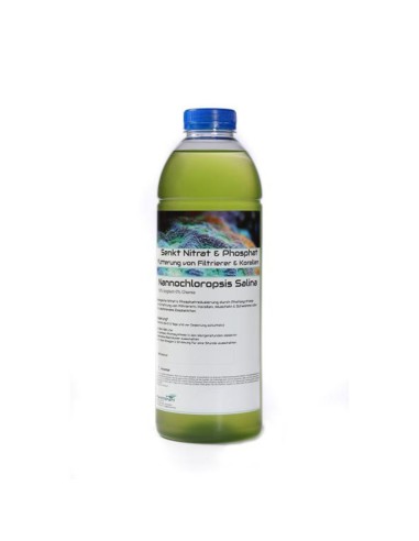 Plankton24 Nannochloropsis Salina 1000ml - phytoplankton vivo per l'abbattimento dei nutrienti in eccesso