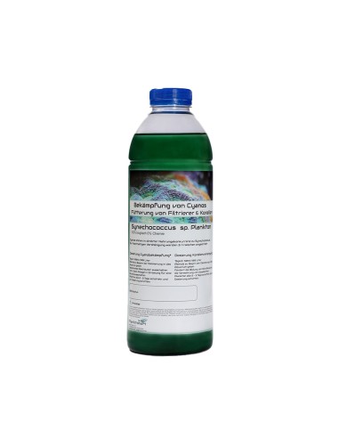 Plankton24 Synechococcus sp.Plankton 1000ml - phytoplankton vivo per coralli e filtratori