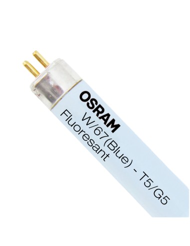 Osram T5 FQ 39Watt/67 Neon Blu specifico per Acquari Marini