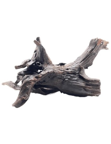 Decorline Driftwood Misura cm60x36x30 Foto Reale cod.DW50