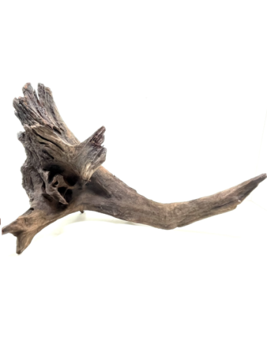 Decorline Driftwood Misura cm60x35x32 Foto Reale cod.DW49