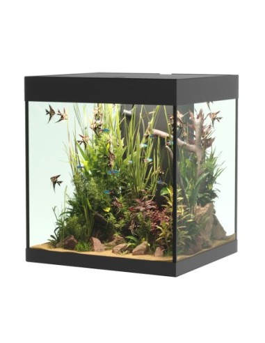 Askoll Opera 80 colore nero senza supporto - acquario con filtro interno, lampada LED e riscaldatore