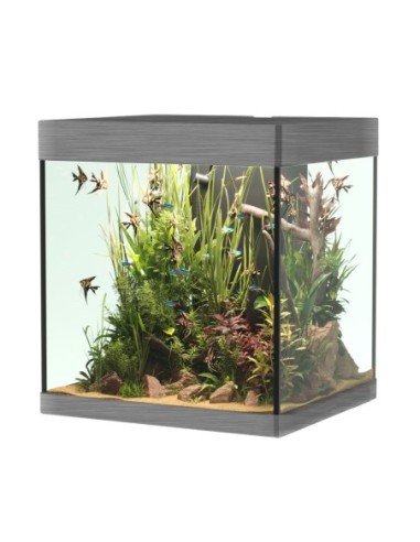 Askoll Opera 80 colore Steel senza supporto - acquario con filtro interno, lampada LED e riscaldatore