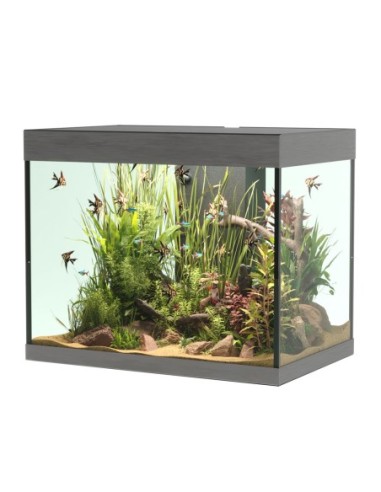 Askoll Opera 110 colore Steel senza supporto - acquario con filtro interno, lampada LED e riscaldatore