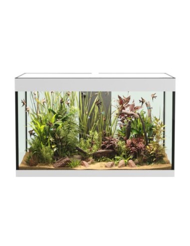 Askoll Opera 150 colore Bianco senza supporto - acquario con filtro interno, lampada LED e riscaldatore