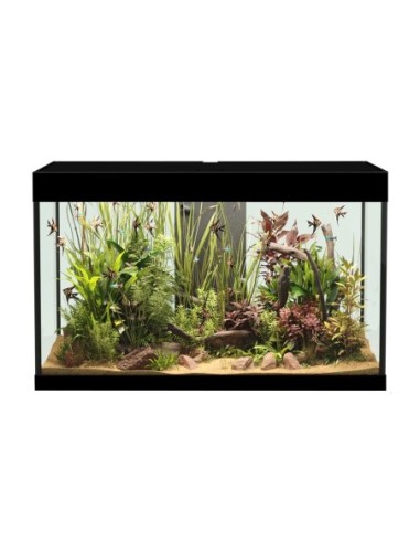 Askoll Opera 150 colore Nero senza supporto - acquario con filtro interno, lampada LED e riscaldatore