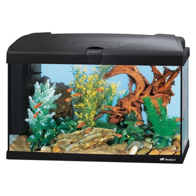 Ferplast Capri 60 LED - Acquario accessoriato cm60x31,5x39,5h senza supporto