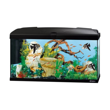 Ferplast Capri 80 LED - Acquario Completo senza Supporto