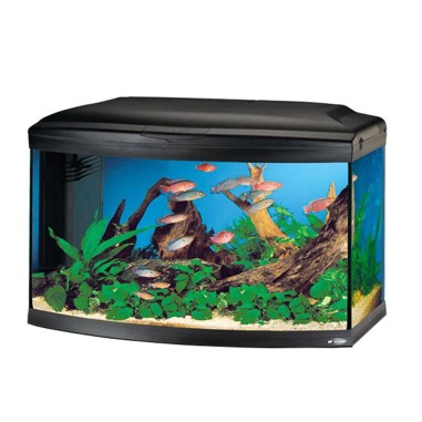 Hydor-Ferplast Cayman 80 Scenic LED colore nero cm81,5x46x52,5h 300 litri senza suppporto