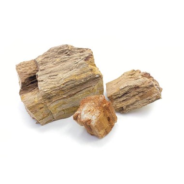 Whimar Aquascaping Box Red Wood Fossil Rock - Set di rocce non calcaree di origine fossile