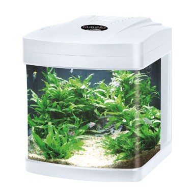 Blu Bios Cubino LED - acquario panoramico 26L cm30x33x36h