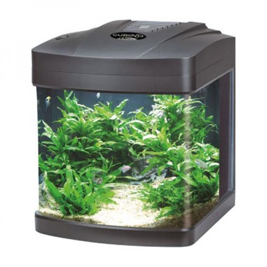 Blu Bios Cubino LED - acquario panoramico 26L cm30x33x36h