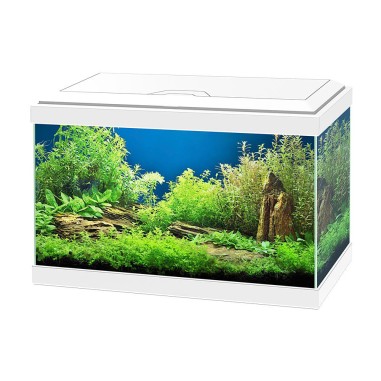 Ciano Acquario Aqua 20 LED cm40x20x25h