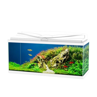 Ciano Acquario Aqua 80 LED cm80x30x41,5h