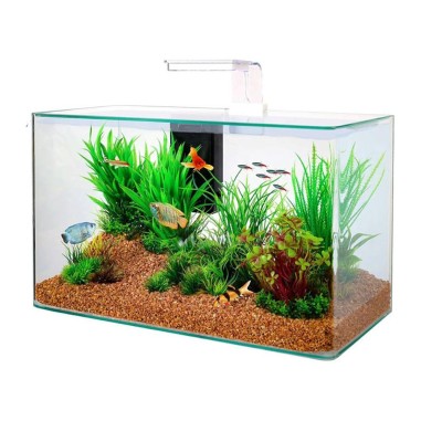 Zolux Clear 50 - acquario 32L cm50x25x30h con filtro interno e plafoniera LED