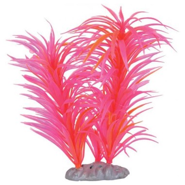 Zolux Decor Firework Plant mod.2 25cm - pianta decorativa artificiale