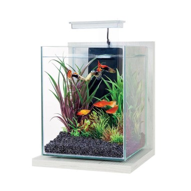 Zolux Jalaya 2 10L - acquario cm22,4x23,3x28,5h completo di filtro interno e plafoniera LED