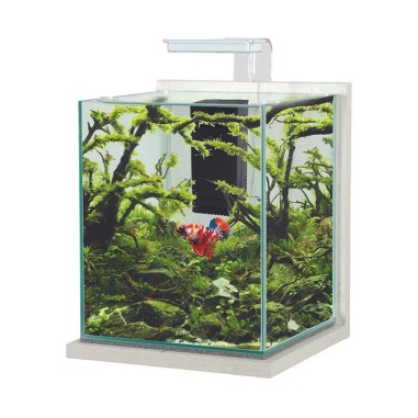 Zolux Jalaya XL 18,7L - acquario cm28,2x27,4x34,8h completo di filtro interno e plafoniera LED