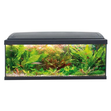 MTB Milo 100 Ledline - Acquario 117L cm100,5x30,7x47h