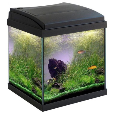 MTB Milo 30 Cubik Ledline - Acquario 24L cm30x29x36h