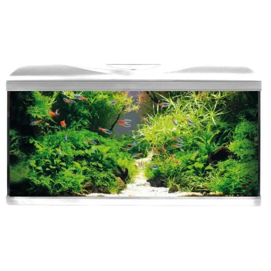 Amtra System Tank V2 80 LED Bianco - Acquario Equipaggiato cm80x32x4