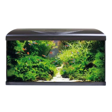 Amtra System Tank V2 80 LED Nero - Acquario Equipaggiato cm80x32x48h