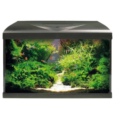 Amtra System Tank V2 60 LED Nero - Acquario Equipaggiato cm60x32x42h