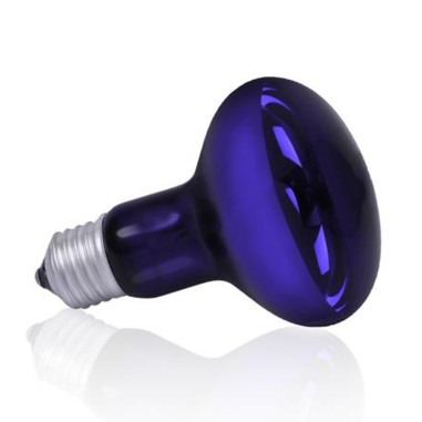 AQL Night Heat Blue Lamp 100w Attacco E27 - Lampada riscaldante notturna per terrari