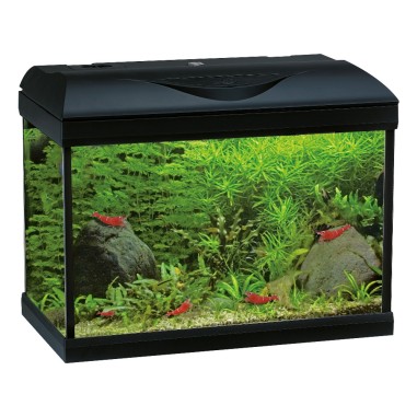 Amtra Basic LED 40 Nero - Acquario con filtro e illuminazione 25L cm42,5×23,5×33h