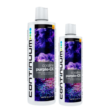 Continuum Aquatics Coralline Purple CX